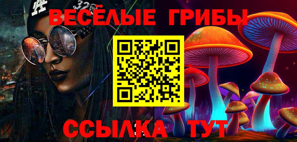 Псилоцибиновые грибы мицелий Балтийск