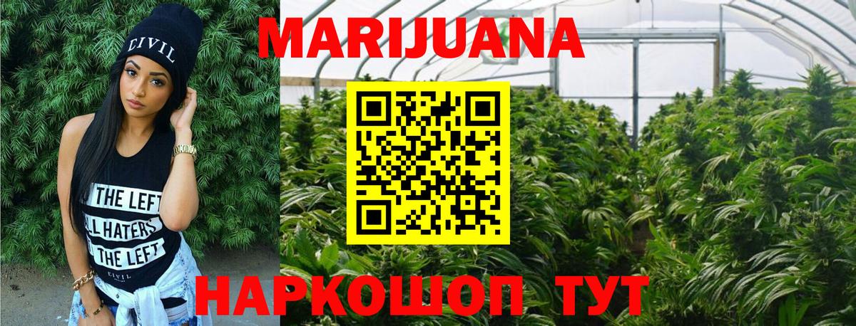 Балтийск  МАРИХУАНА тримм  Каннабис план  Вход с VPN  Конопля Bruce Banner 