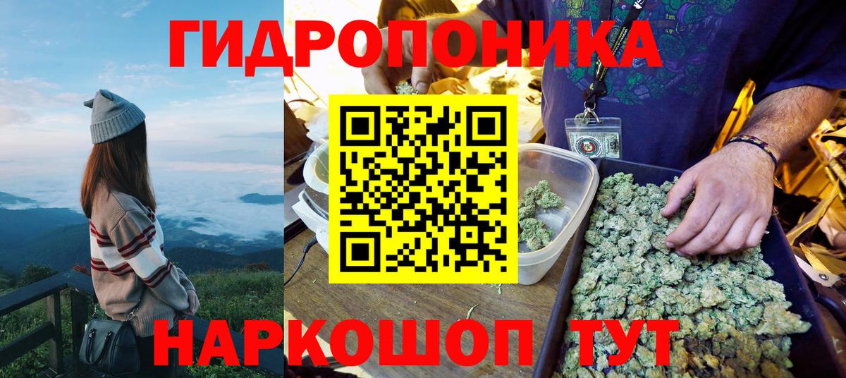 Бошки марихуана Ganja Балтийск